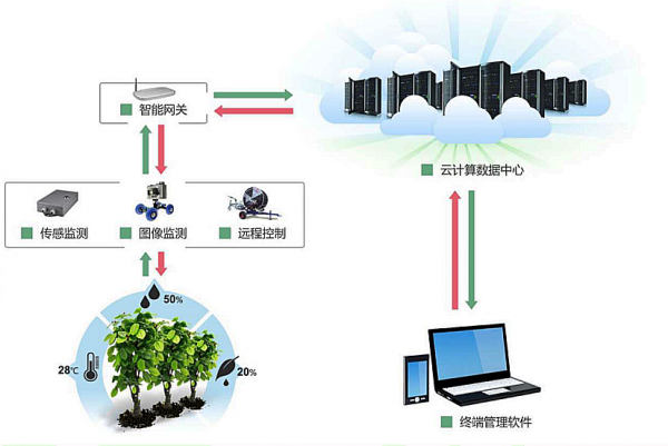 加速建設5G新基建，爲智慧農業生産提速